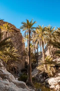 South trip Foto stock