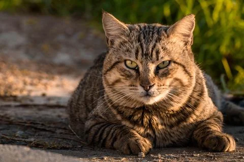 South trip Stock Photos