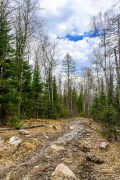 South Ural forest road with a unique landscape, vegetation and diversity of.. Stock Photos