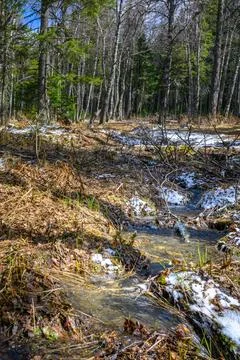 South Ural rough stream with a unique landscape, vegetation and diversity o.. Stock-Fotos