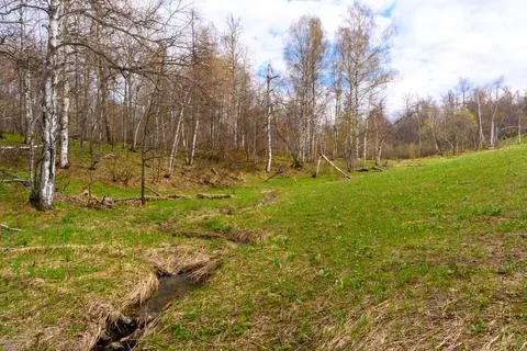South Ural rough stream with a unique landscape, vegetation and diversity of  Stock Photos