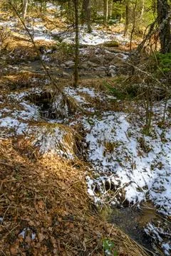 South Ural rough stream with a unique landscape, vegetation and diversity of  Stock Photos