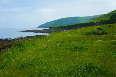 South West Coast Path Looe Cornwall Wildflowers Stock Photos