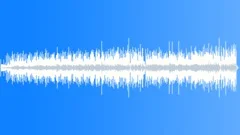 South WestStock Music
