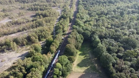 Southeastern train traveling on a tree lined train track in Kent 動画素材 162910522