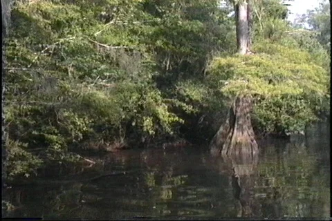 Southeastern United States Stock Footage 121461896