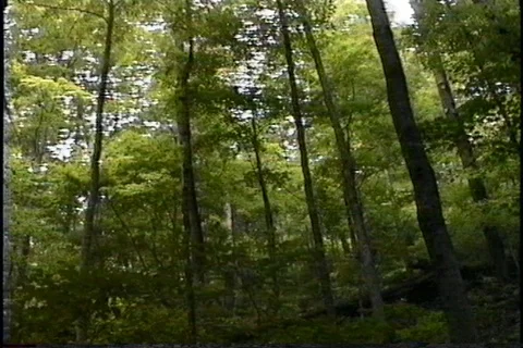 Southeastern United States Stock Footage 121471021