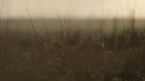 Southern Alberta 20 Stock-Footage 346418164