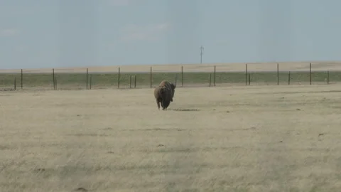 Southern Alberta 7 Stock-Footage 346417487
