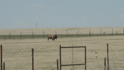 Southern Alberta 8 Stock-Footage 346417740
