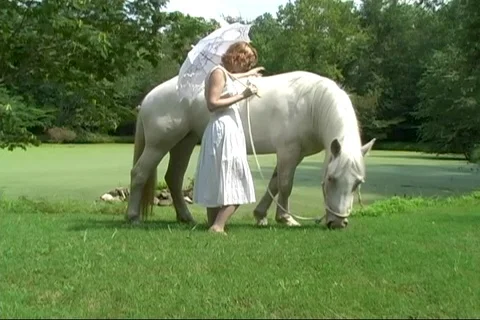 Southern Belle Stock Footage 125639376