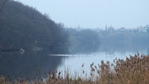 Southern Bug River in the area of the children's sports base Kolos Stock Footage 82529239