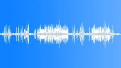 Southern double-collard sunbird Sound Effect