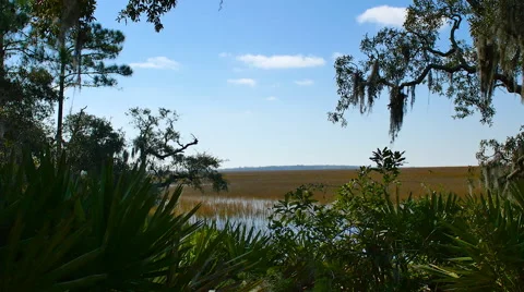 Southern Exterior View Stock-Footage 44982874