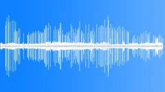 Southern Ground Hornbill CUSound Effect