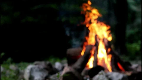 Southern indiana campfire fire pan up focus grab overcast Stock Footage