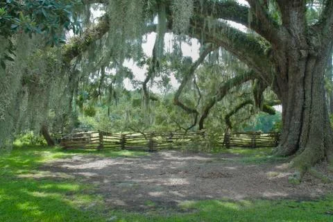 Southern landscape Stock Photos