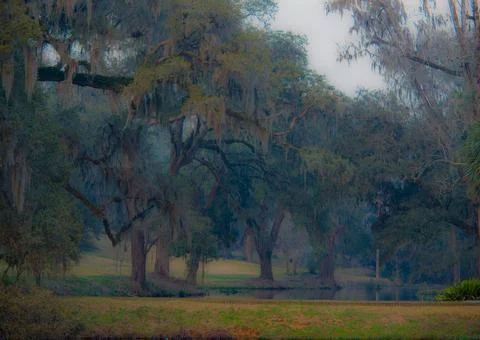 Southern Landscape Stock Photos