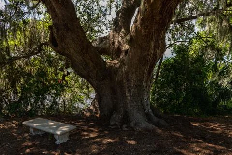 Southern Landscape Stock Photos