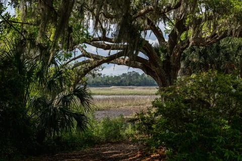 Southern Landscape Stock Photos
