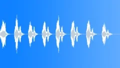 Southern Lapwing TeroSound Effect