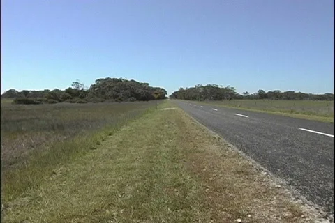 Southern Louisiana Stock Footage