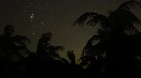 Southern night Video stock 62176264