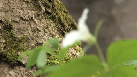 Southern Ohio Stock Footage 120124118