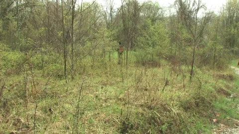 Southern Ohio Stock Footage 120253058