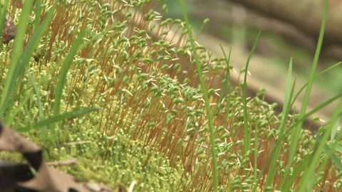 Southern Ohio Stock Footage 120483803