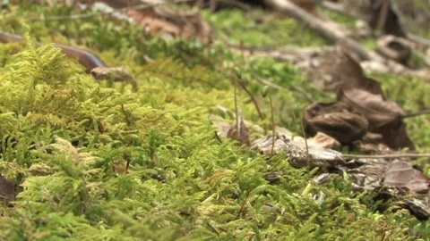 Southern Ohio Stock Footage 120484040