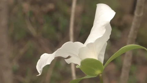 Southern Ohio Stock Footage 120584855