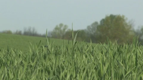 Southern Ohio Stock Footage 120585142