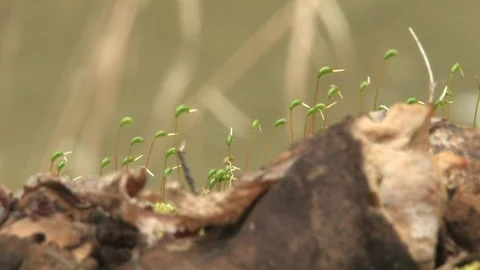 Southern Ohio Stock Footage 120585313