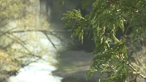 Southern Ohio Stock Footage 120616641