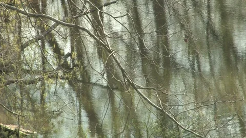 Southern Ohio Stock Footage 120616871