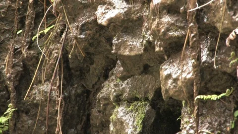 Southern Ohio Stock Footage 120640372