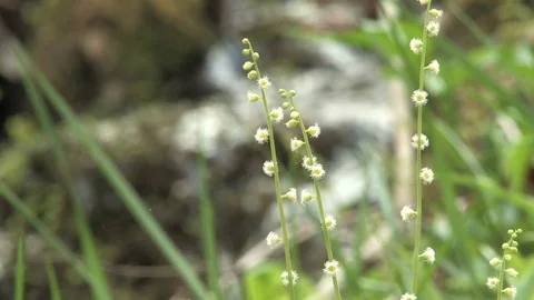 Southern Ohio Stock Footage 120688935