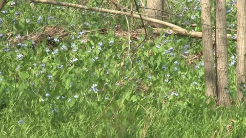 Southern Ohio Stock Footage 120694427