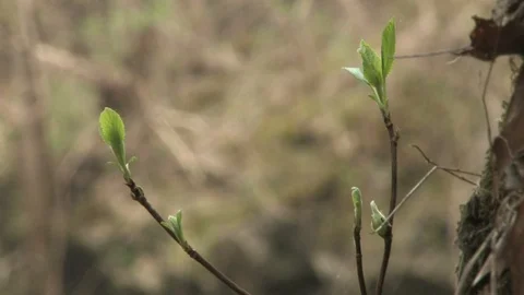 Southern Ohio Stock Footage 120757238