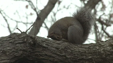 Southern Ohio Stock Footage 181293434