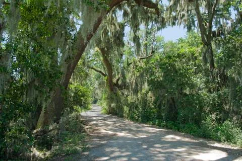 Southern road Stock Photos
