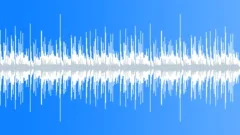 Southern Shindig - Chaotic loopStock Music