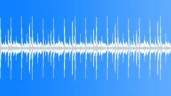 Southern Shindig - A funk country loopStock Music