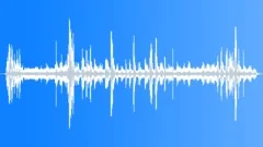 Southern Skua Calls InSound Effect