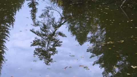 Southern Urals Nature Reflection Stock Footage 325454165