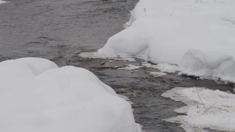 Southern Urals Winter River Flowing Through Snow Stock Footage 325474658