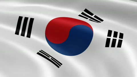 SouthKorea FlagInTheWind Stock Footage