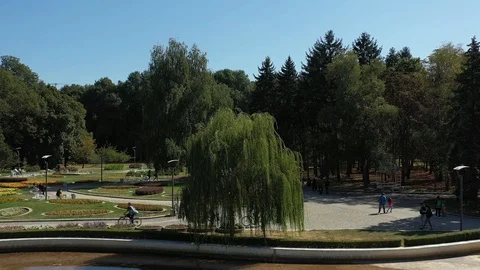 SouthParkWillow Stock Footage 116431466