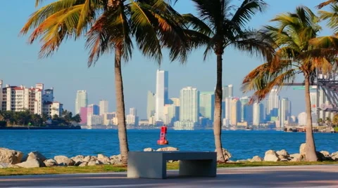 Southpoint park Stock-Footage 1046938